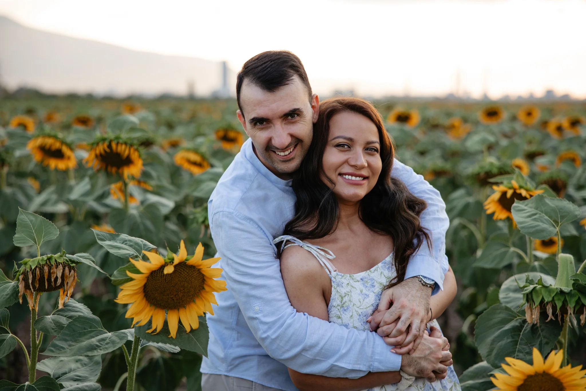 Романтична фотосесия – прегръдка на слънчогледово поле