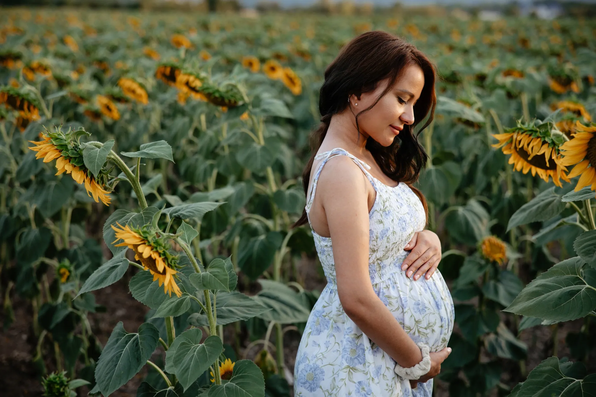 Бременна фотосесия – близък портрет в слънчогледи